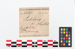 Etikett zu Bronzebuckelarmreif (NHMW-PRAE-025572)